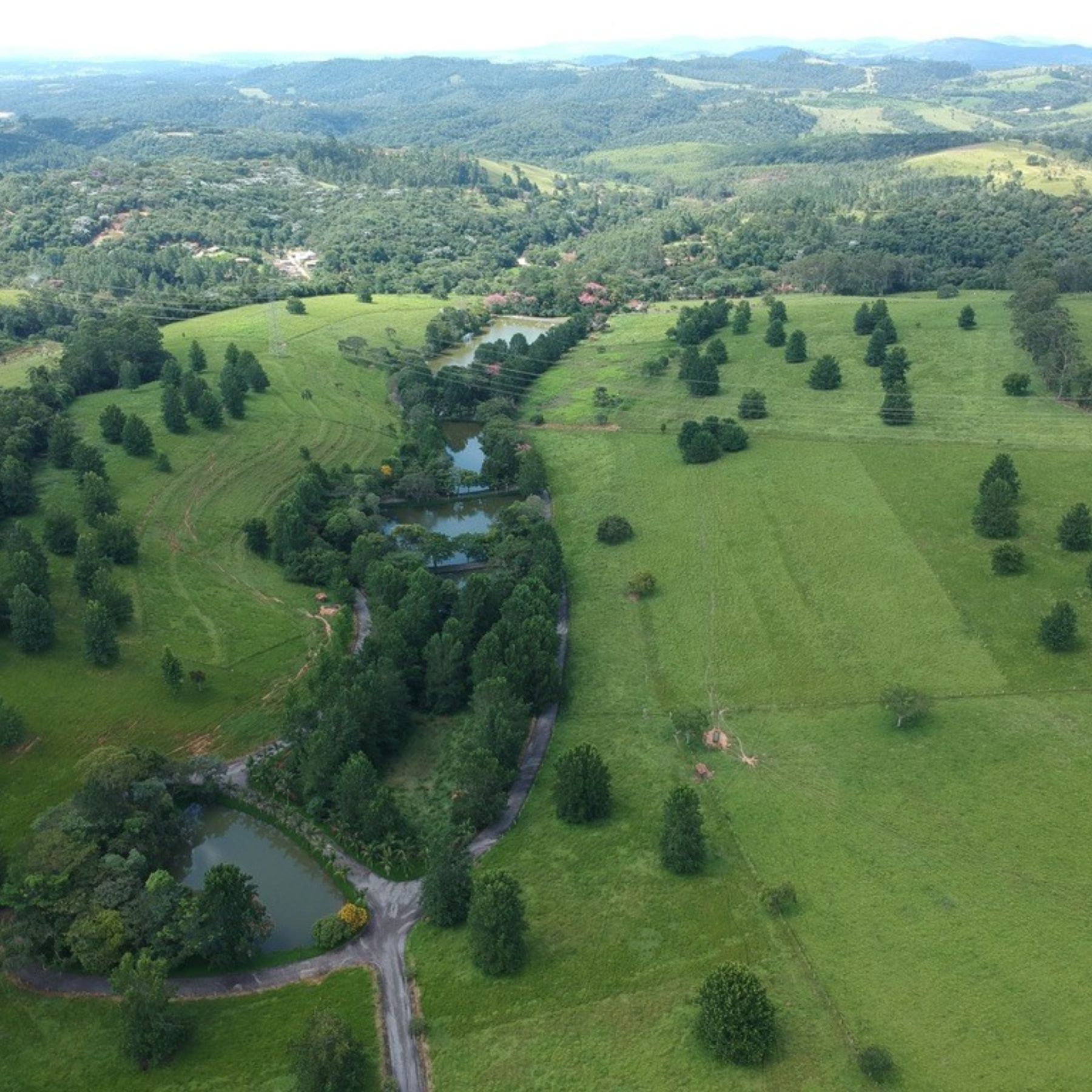 Fazenda Cancela 1